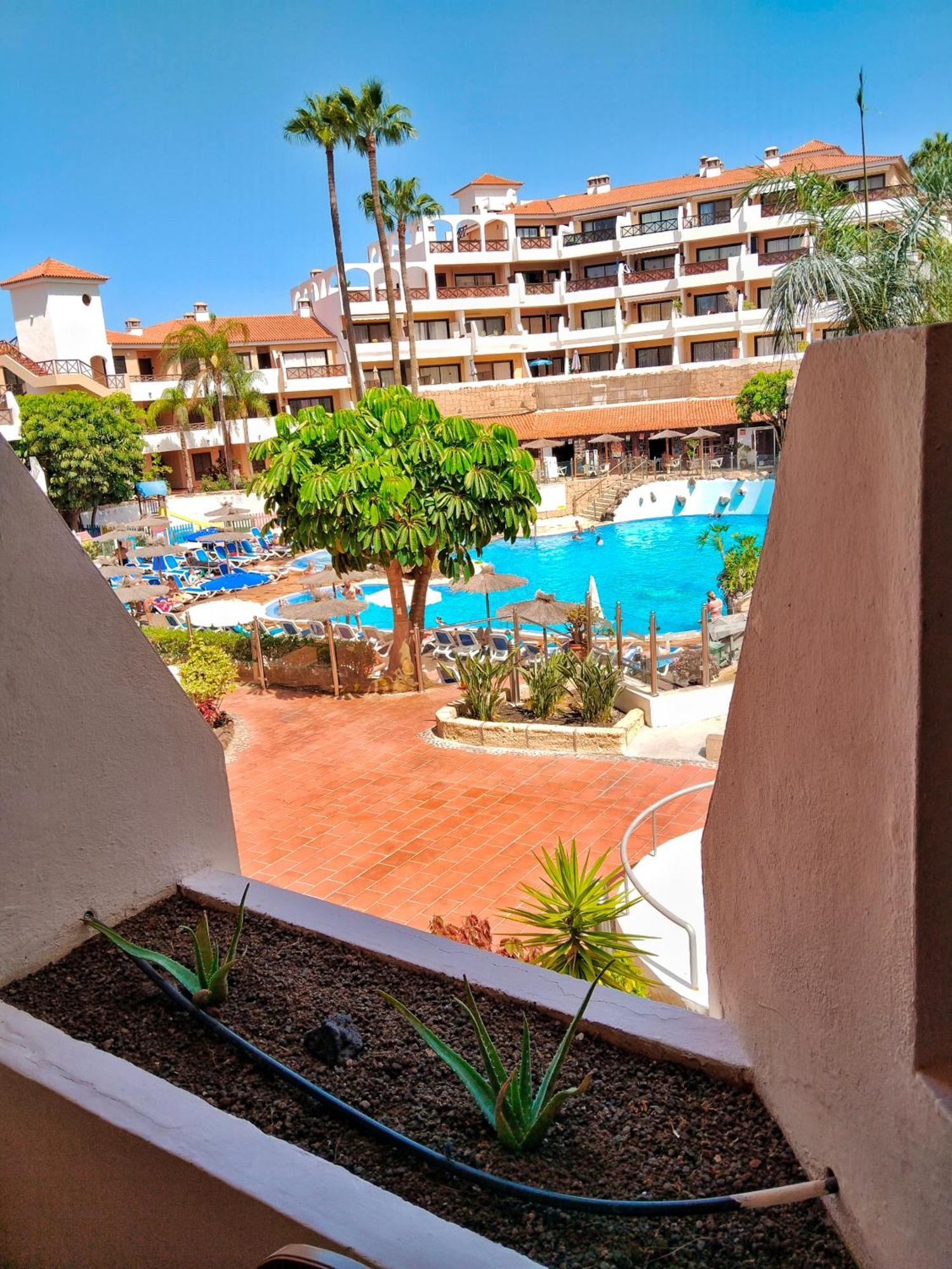 Maximar Apartment 8 Bed Places, Heated Swimmingpool Арона Екстер'єр фото